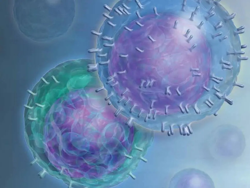 El estado inflamatorio basal podría condicionar las vías inmunológicas que impulsan la respuesta a ocrelizumab en la EMPP